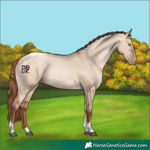 Horse Color:Bay Pearl Dun Tobiano 