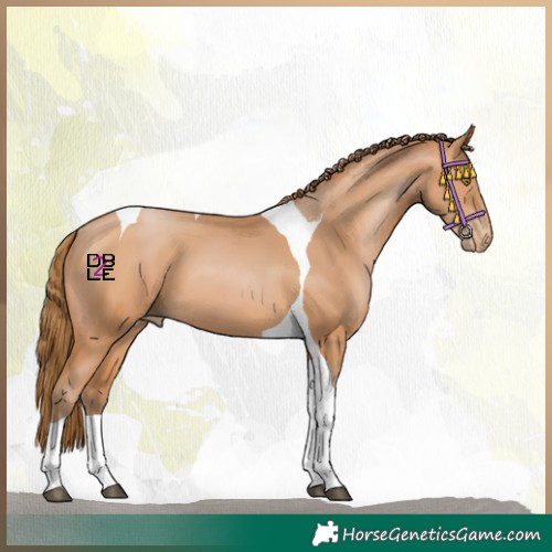 Horse Color:Bay Pearl Tobiano 