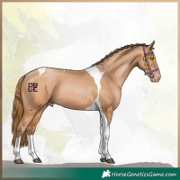 Horse Color:Bay Pearl Tobiano 