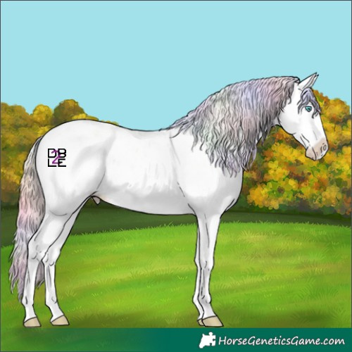 Horse Color:Nacre Gold Champagne Dun Sabino Splash