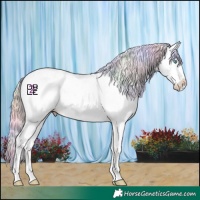 Horse Color:Nacre Gold Champagne Dun Sabino Splash