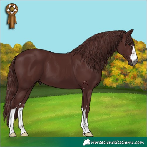 Horse Color:Gray Chocolate Black