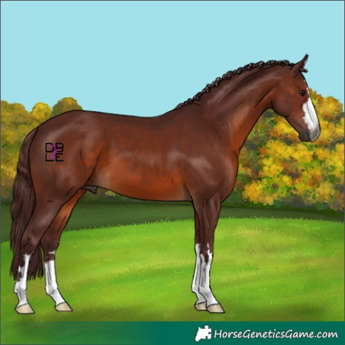 Horse Color:Gray Chocolate Brown