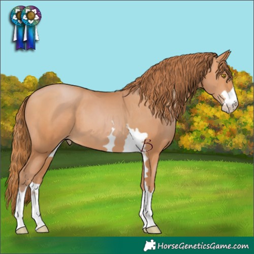 Horse Color:Chocolate Bay Pearl