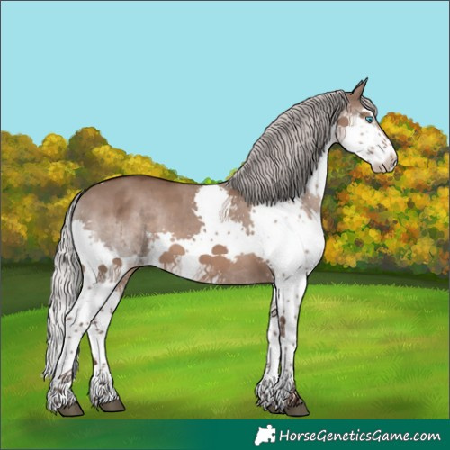 Horse Color:White Spotted Silver Grullo Splash