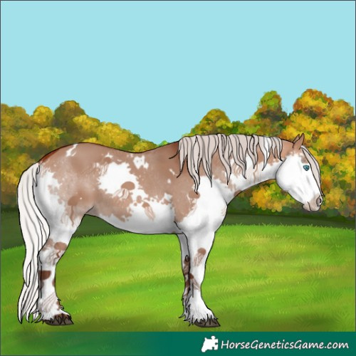 Horse Color:White Spotted Silver Brown Dun Splash 