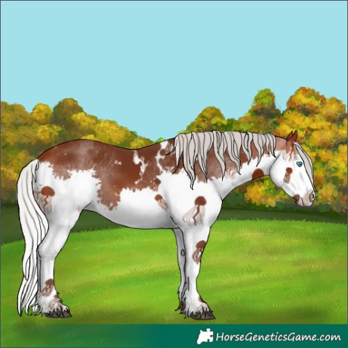 Horse Color:White Spotted Silver Brown Splash