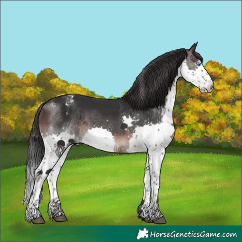 Horse Color:Powder White Brown Splash Rabicano