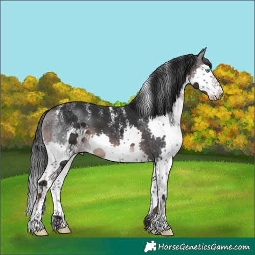 Horse Color:Powder White Brown Splash 