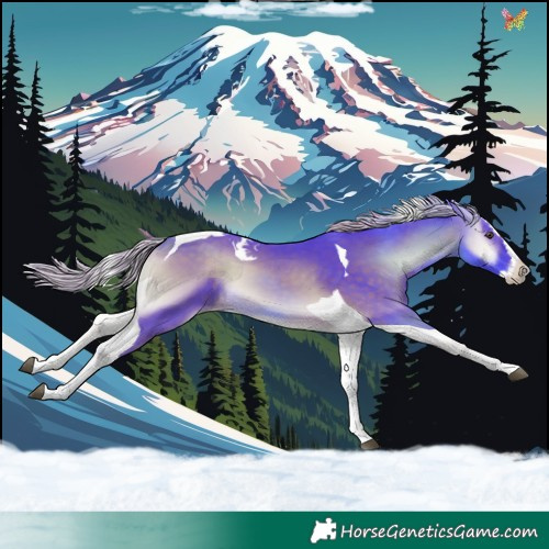 Horse Color:Watercolor Chocolate Palomino Onyx Splash Tobiano