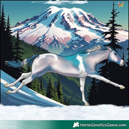 Horse Color:Watercolor Brown Onyx Tobiano