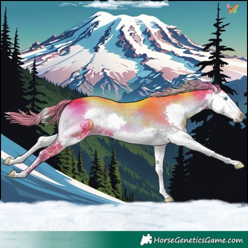Horse Color:Watercolor Liver Red Onyx Splash 