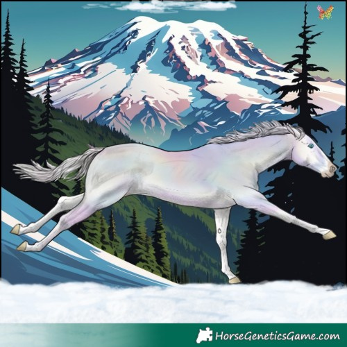 Horse Color:Watercolor Cremello Onyx Splash