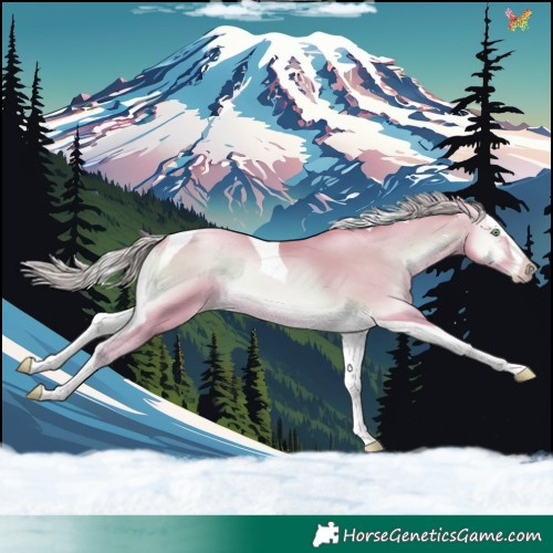 Horse Color:Watercolor Chocolate Palomino Pearl Onyx Splash Tobiano
