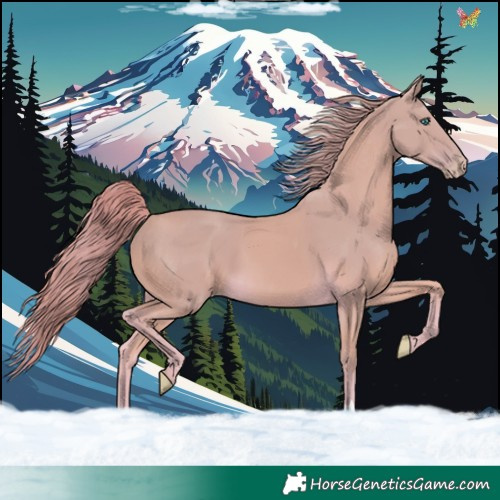 Horse Color:Watercolor Smoky Creme