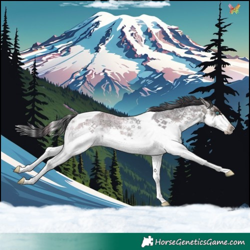Horse Color:Blue Onyx Ice Roan Splash Tobiano Rabicano 
