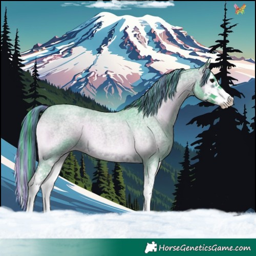 Horse Color:Painted Watercolor Chocolate Brown Roan Onyx Splash