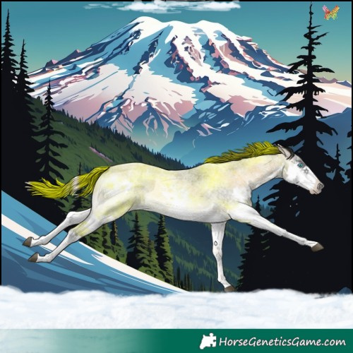 Horse Color:Buckskin Roan Onyx Splash 