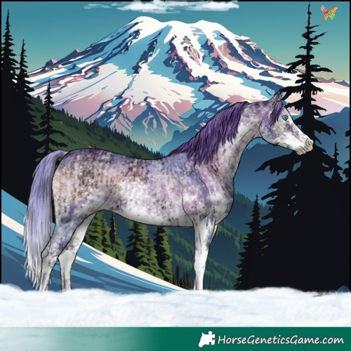 Horse Color:Watercolor Chocolate Brown Ice Roan Onyx Splash Tobiano Rabicano  and Watercolor Chocolate Blue Onyx Ice Sabino Splash Rabicano 
