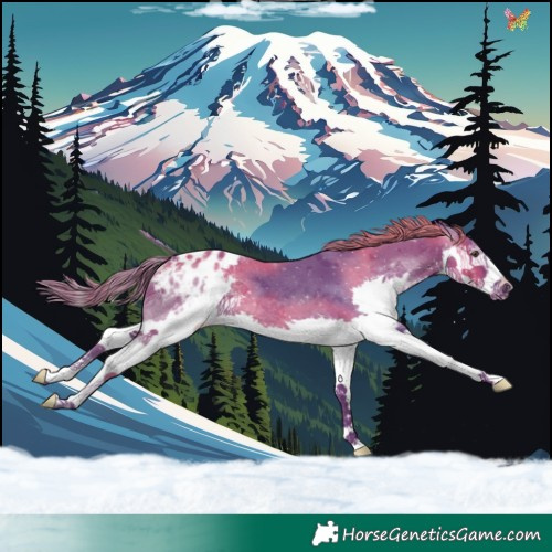 Horse Color:Watercolor Liver Chestnut Splash Appaloosa Rabicano 