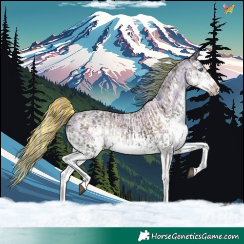 Horse Color:Painted Chocolate Palomino Ice Pearl Onyx Sabino Splash  and Watercolor Chocolate Blue Onyx Ice Roan Splash 
