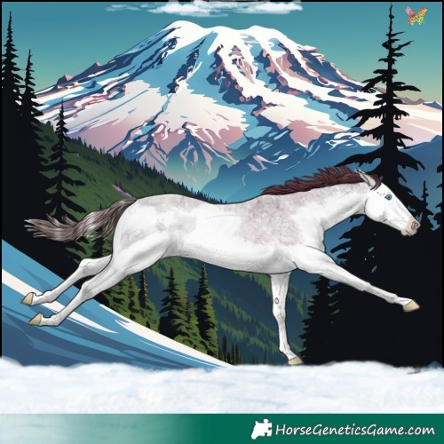 Horse Color:Chocolate Blue Onyx Ice Roan Splash