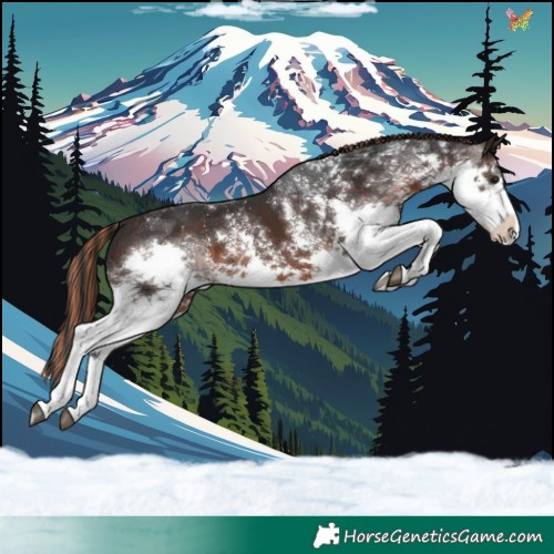 Horse Color:Painted Brown Sabino Splash Varnish