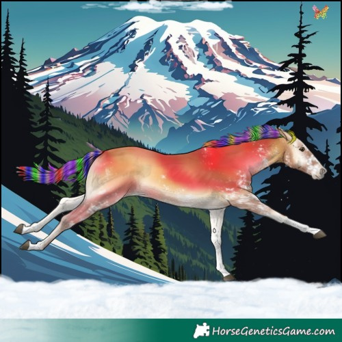 Horse Color:Painted White Spotted Palomino Onyx