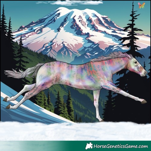Horse Color:Nacre Silver Brown Onyx and Nacre Watercolor White Spotted Chocolate Palomino Onyx Tobiano