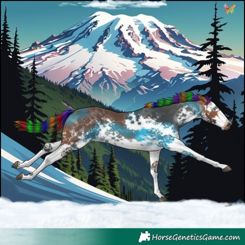 Horse Color:Painted Bay Splash