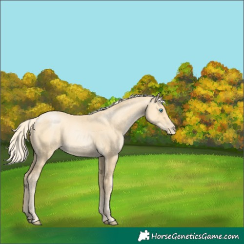 Horse Color:Palomino Pearl