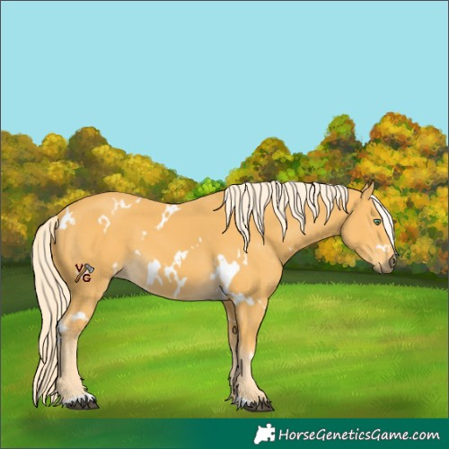 Horse Color:Unknown 
