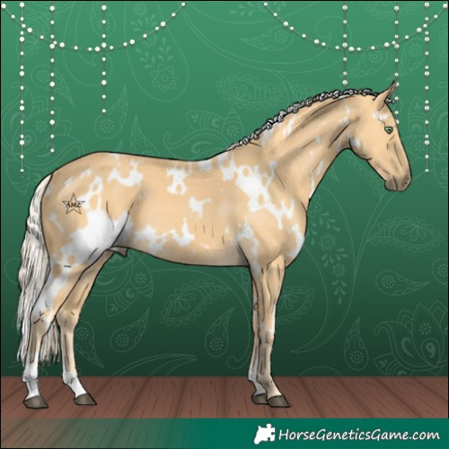 Horse Color:White Spotted Palomino