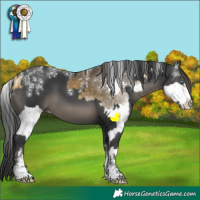 Horse Color:Powder White Buckskin Splash and Powder White Black
