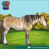 Horse Color:Powder White Buckskin Splash and Powder White Buckskin