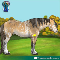 Horse Color:Powder White Buckskin Splash  and Powder White Buckskin 