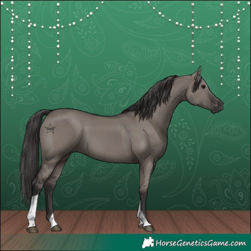 Horse Color:Unknown 