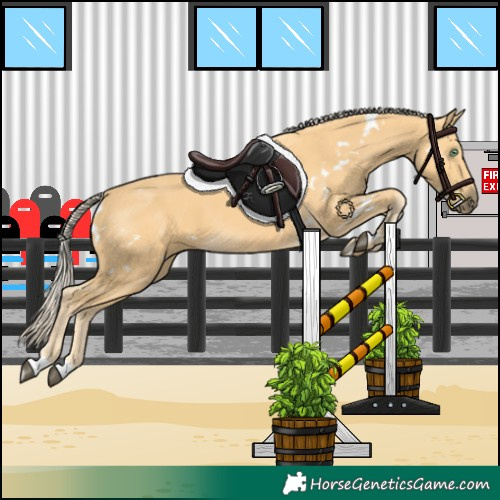 Horse Color:White Spotted Palomino