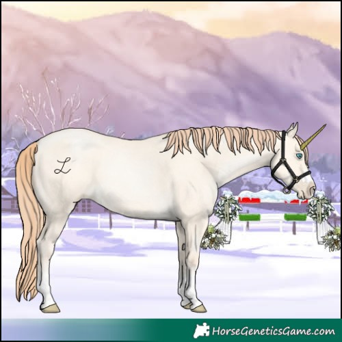Horse Color:Amber Cream Champagne Pearl Dun