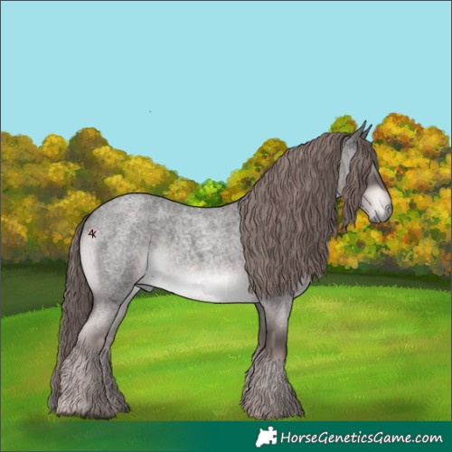 Horse Color:Platinum Liver Red Roan
