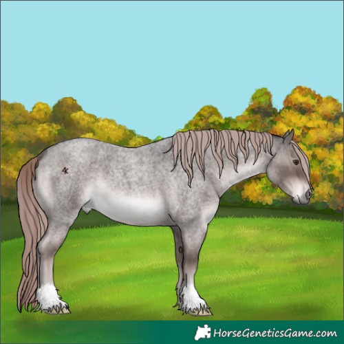 Horse Color:Platinum Liver Red Roan