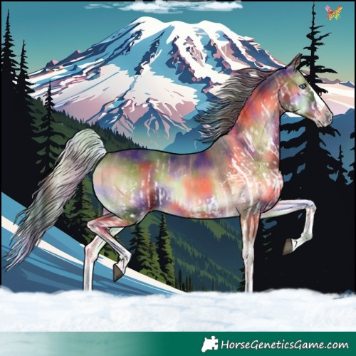 Horse Color:Nacre White Spotted Silver Brown Onyx Splash  and Nacre Liver Red Onyx Splash 