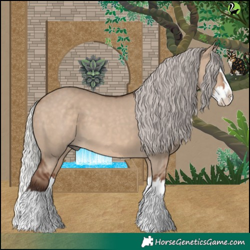 Horse Color:Silver Brown Dun Splash