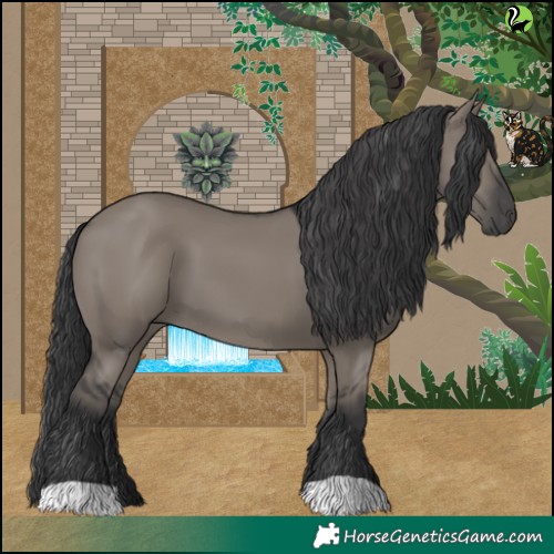 Horse Color:Grullo 