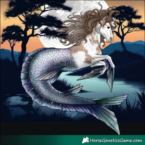 Horse Color:Black Pearl Splash