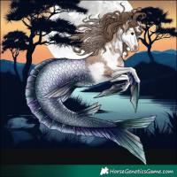 Horse Color:Black Pearl Splash 