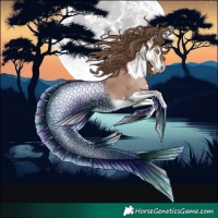 Horse Color:Black Pearl Splash 
