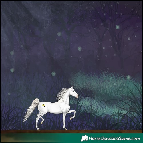 Horse Color:White Spotted Perlino Onyx Splash Tobiano Appaloosa 