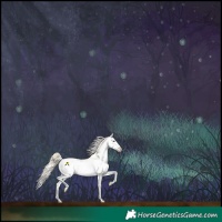 Horse Color:White Spotted Perlino Onyx Splash Tobiano Appaloosa 