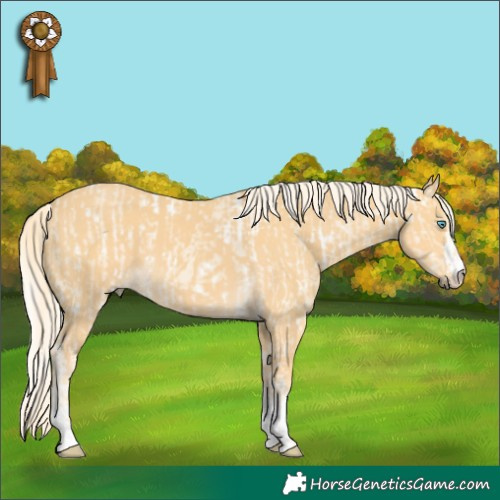 Horse Color:White Spotted Cremello  and Palomino 